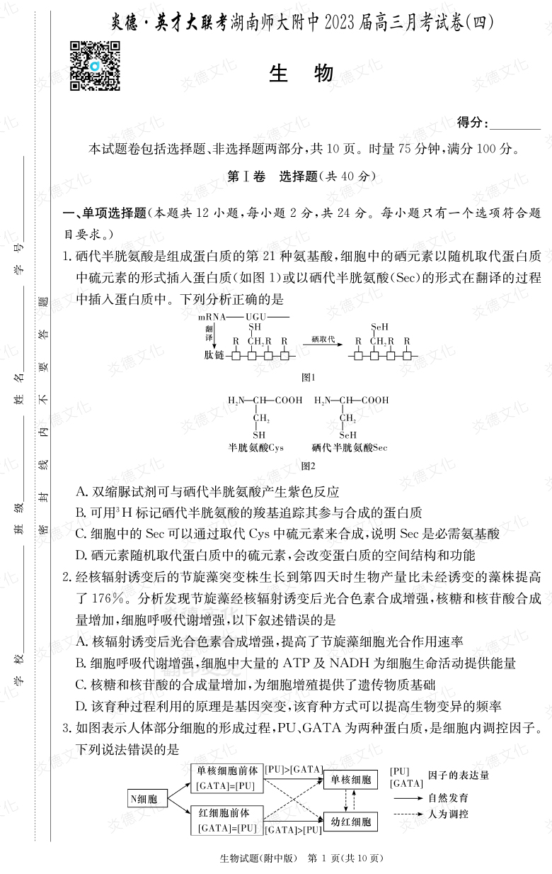 [生物]炎德英才大聯(lián)考2023屆湖南師大附中高三4次月考